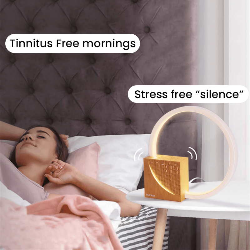 The Silent Noyse - Dusk