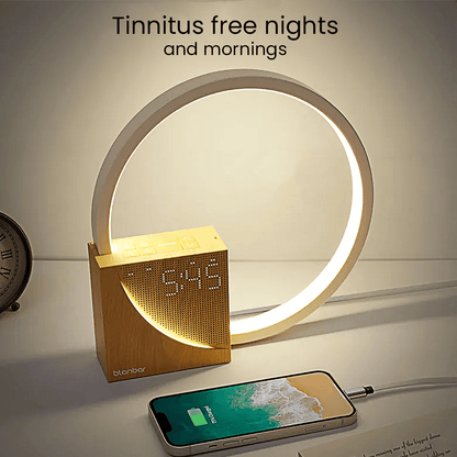 The Silent Noyse - Dusk