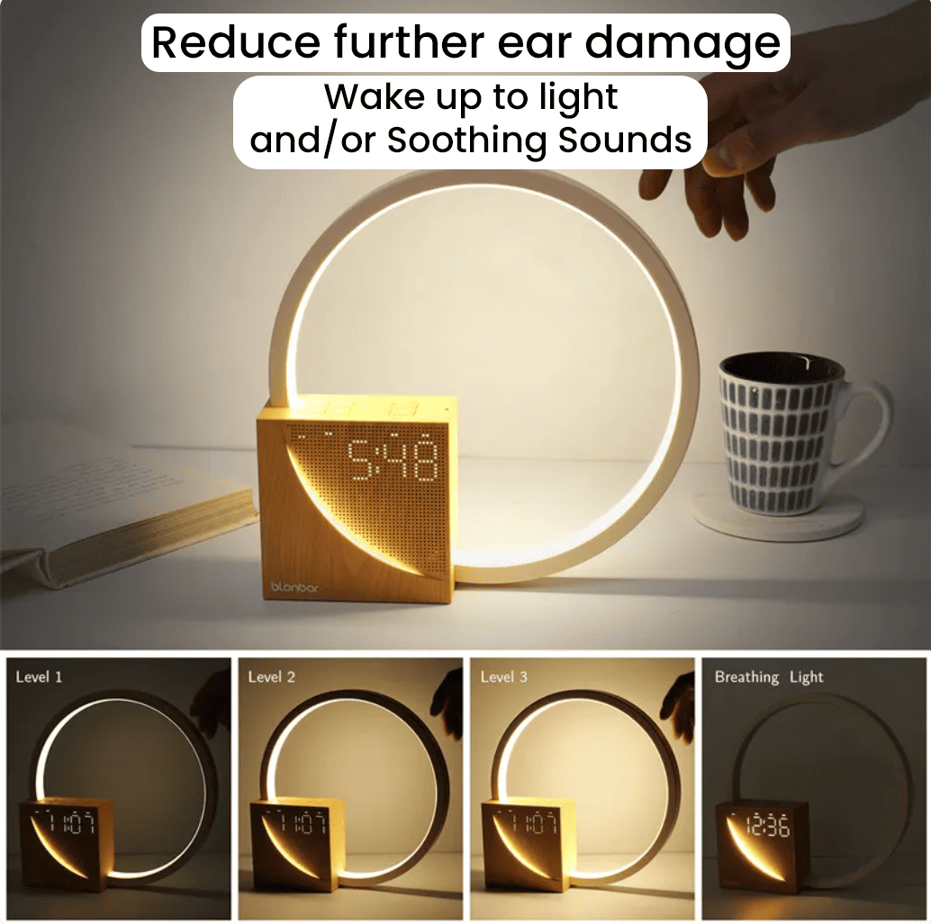 The Silent Noyse - Dusk